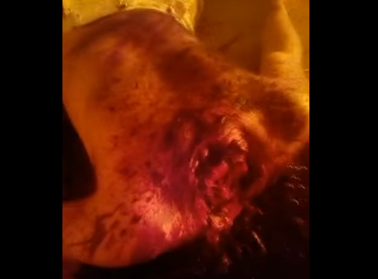 Several Dead Prisoners Beheaded In Prison Riot