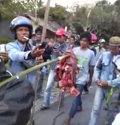 Head Impaled On A Stick - Political Differences