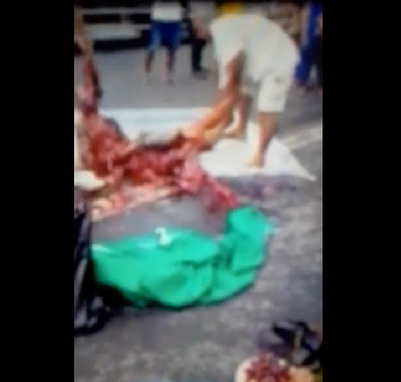 Collect Ripped to Pieces the Woman Killed in Accident 