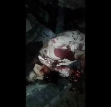 Three Old Men Were Killed With Machetes in Colombia