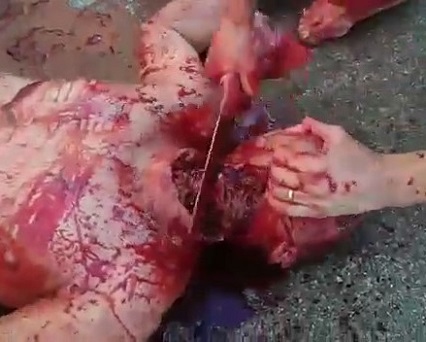 (Brutal Beheading) Inmate Still Alive But Not For Long 