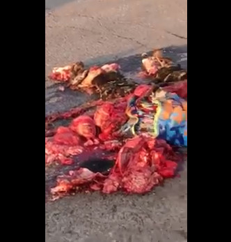 GORE accident: Scooter Girl is crushed by truck