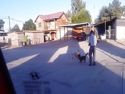 grandpa walks his dog who is attacked