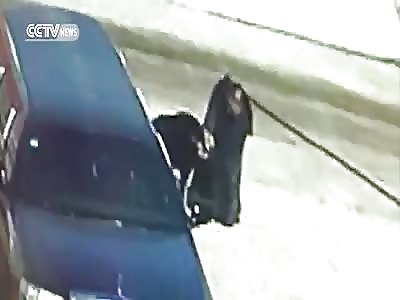 ELDERLY MAN FIGHTS OFF TIBETAN MASTIFF FOR 30 MINUTES