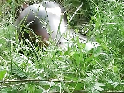 MURDERED WOMAN WAS FOUND IN DECOMPOSITION