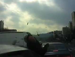 RED LIGHT RUNNER CAUSES A FATAL ACCIDENT