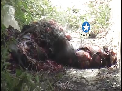 TWO SUICIDE BOMBERS BLEW THEMSELVES DURING TERROR ATTACK THAT LEFT SEVEN PEOPLE DEAD