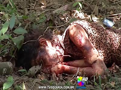 WOMAN CORPSE FOUND MURDERED IN FOREST