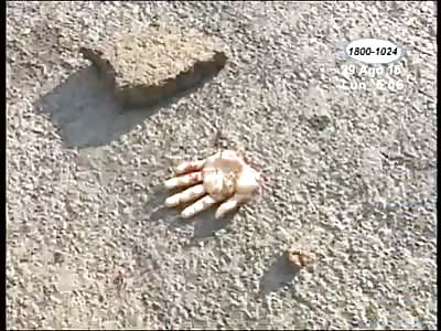 MAN WAS MURDERED WITH SEVERAL MACHETE BLOWS