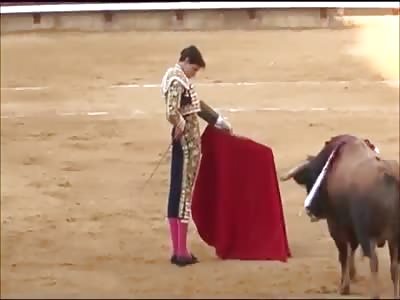BULL'S DAY: BULLFIGHTER IS INJURED