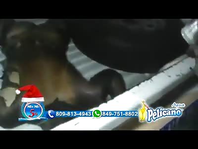 Man with Gruesome 3rd Degree Burns is Loaded off of a Pickup Truck at Hospital 