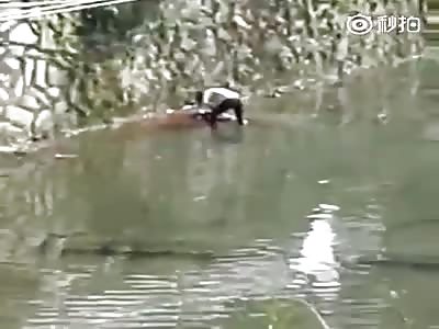 CRAZY CHINESE MAN KILLED THREE PEOPLE