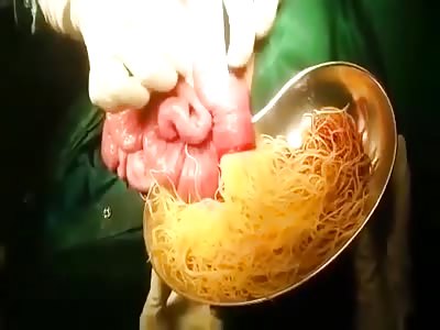 SPAGHETTI, ANYONE?