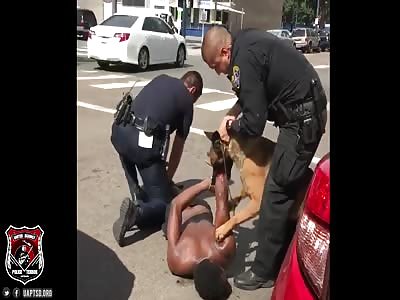COP LOSES CONTROL OF K-9 AS IT VICIOUSLY ATTACKS MAN IN HANDCUFFS