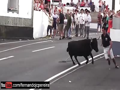 VIVA EL TORO!