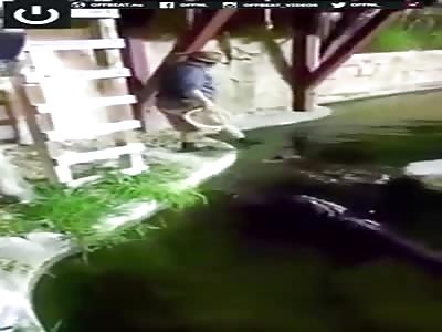 THE IDIOT AND THE CROCODILES