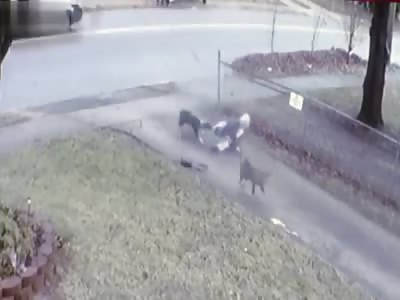 A WOMAN WAS ATTACKED BY DOGS