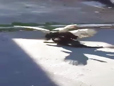 SHOCKING AND DISTURBING STREET FIGHT