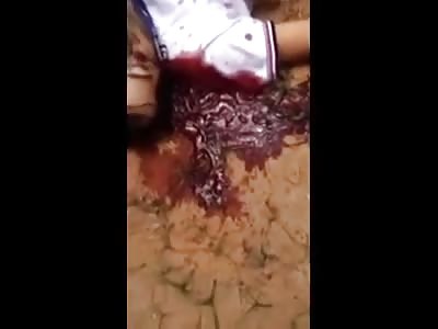 OUR DAILY ENTERTAINMENT IS SERVED