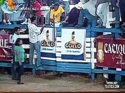 OMG: BULL VS LADY IN GREEN