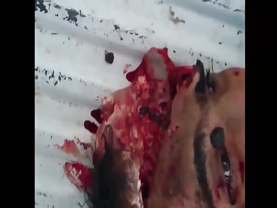 LOADING OF DEAD PEOPLE