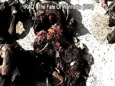 THEY ARE MANGLED AND ROTTEN