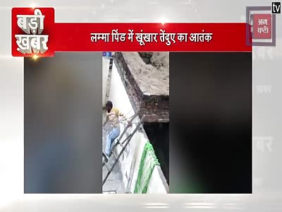 LEOPARD ATTACKING A MAN