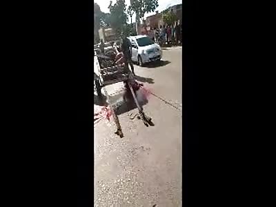 DEATH EVERYWHERE BUT I LIKE IT