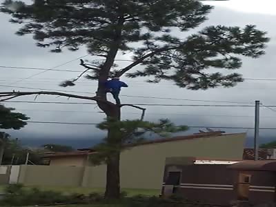 ACCIDENT DURING TREE PRUNING