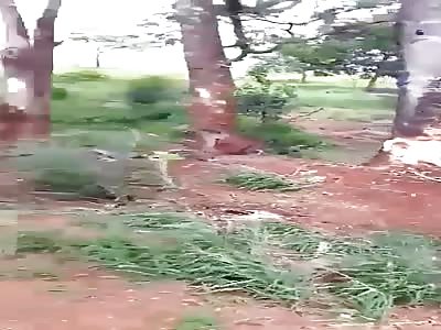 MAN DIES IN AN ACCIDENT