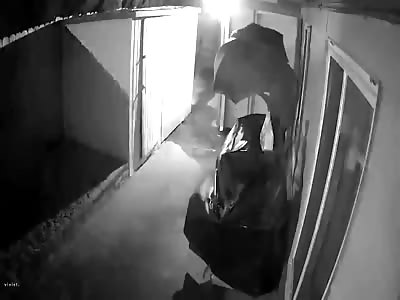 LUCKY DAY: MAN NEARLY KILLED BY FALLING TREE