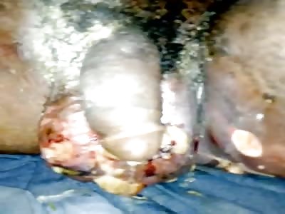 WHY YOU SHOULD NOT HAVE SEX WITH ANIMALS