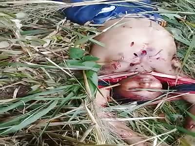 STABBED AND FULL OF FLIES