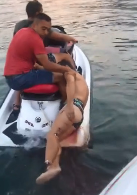 SHARK ATTACK OR BOAT PROPELLER?