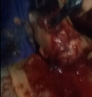 Brazilian Traffickers Got Trophy