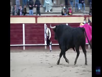 DON'T MESS WITH THE BULL 2