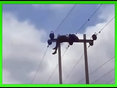 WAIT FOR IT... NICE PLACE TO REST AND DIE