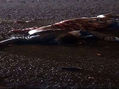 PIZZA DELIVERY MAN CRUSHED BY TRUCK