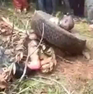 WELCOME TO BURN THE MAN GAME