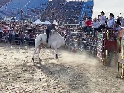 HEY YOU BASTARD, DON'T MESS WITH THE BULL