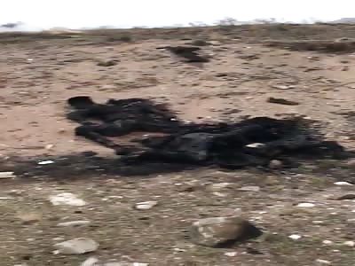 THEY BURNED TO THE BONES