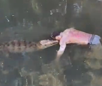 Poor Dude Became Crocodiles Lunch