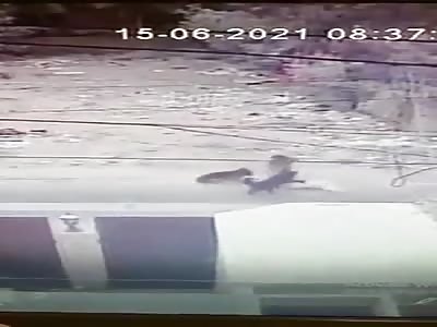 OLD MAN BEING ATTACKED BY FIERCE DOGS