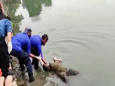 CORPSE OF A SUICIDE WOMAN TAKEN FROM THE WATERS