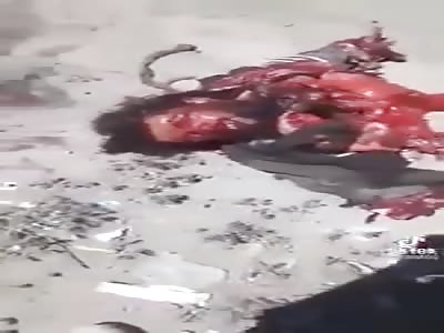 MUSLIM WORLD: DEATH AND DESTRUCTION