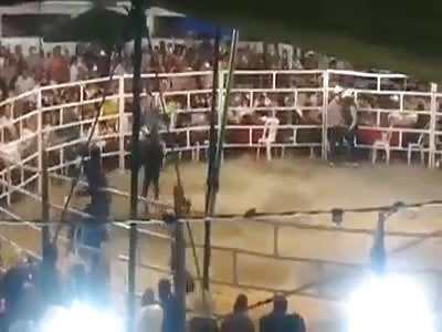 WHEN THE BULL MAKE IT'S OWN PARTY