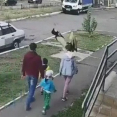 Suicide Jumper Almost Kill People When Landing