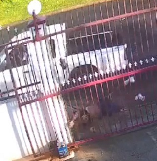 Damn, Thats One Senseless Homicide