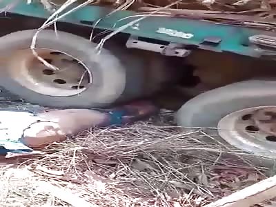 MAN WAS CRUSHED BY TRUCK LOADED OF SUGAR CANE