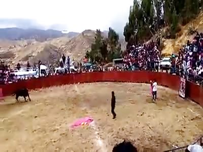 AND THE WINNER WAS THE BULL...